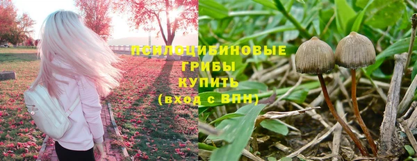 соль курить ск Беслан