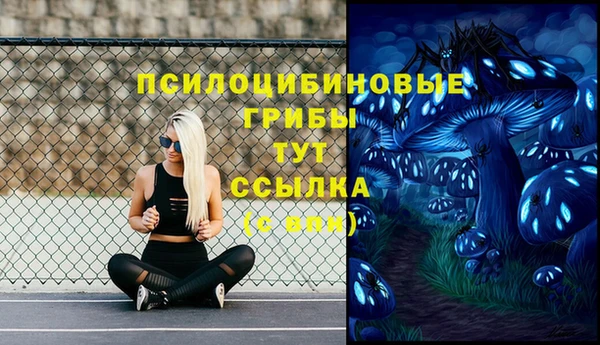 марки lsd Билибино